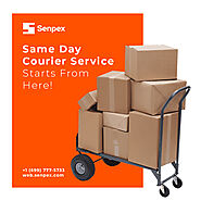 Same Day Courier Service | On Demand Courier Service