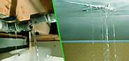What Are The Consequences Of Neglecting Water Damage?
