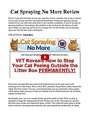 Cat Spraying No More PDF / Review Is Sarah Richards Guide Free Download? | Joomag Newsstand