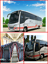 Sewa Bus White Horse - Medium Bus 35 Seat