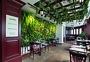 Restaurant Plant Wall