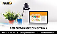Top Website Development Company in India: iBrandox