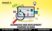 Best eCommerce Web Development Company in India: iBrandox