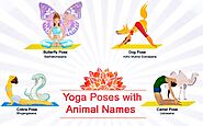 Yoga Poses Named After Animals - 20+ Animal Yoga Poses