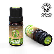 Organic Tea Tree Essential Oil | Ecodrop
