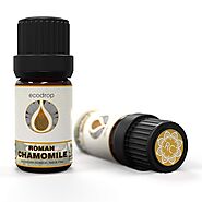 Roman Chamomile Essential Oil | Ecodrop
