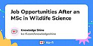 Job Opportunities After an MSc in Wildlife Science