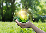 Best Course in Environmental Science Course for a Bright Future