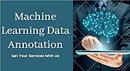 Top-Rated Machine Learning Data Annotation Services With Us