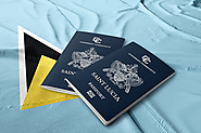 Saint Lucia Citizenship by Investment: All You Need to Know About All Process. | by Mann’s Solutions | Jan, 2022 | Me...