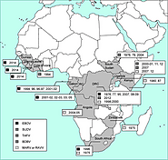 Ebola and Marburg virus diseases in Africa: Increased risk of outbreaks in previously unaffected areas?