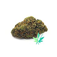 Citrique Strain | Best Weed Delivery | ezweedonline.org