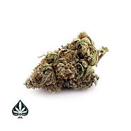White Haze - Sativa Dominant Hybrid - AAA | Trust Mail Order Marijuana