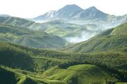 Munnar - Kerala State