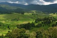 Kodaikanal - Tamil Nadu State