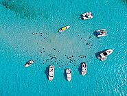 How to Make the Most of Your Cayman Islands Stingrays Encounter | Get Bent Charters