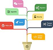 Top Wordpress Website Design, Development and Customization Services