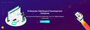 Well Experienced Custom Dashboard Development Service Provider