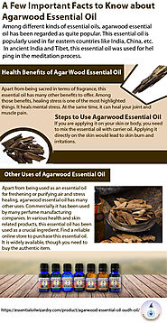 Plumeria Oil (Plumeria Absolute) - Essential Oil Wizardry