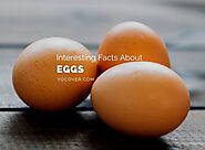 12 Interesting Facts About Eggs You May Not Know - YoCover