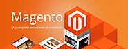 10 Cool Tips To Help You Get into Magento Developer Company