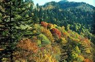 Great Smoky Mountains, North Carolina & Tennessee