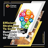 Efficient Strategies To Grow Your Business With The Help Of Website
