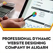 Professional Dynamic Website Designing Company In Aligarh