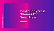 7 Best BuddyPress Themes For WordPress 2020 - Best WordPress Theme Builders 2020