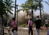 2004 Indian Ocean earthquake and tsunami: 9.1 - 9.3