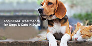 Top 6 Flea Treatments for Dogs and Cats in 2020 - CanadaVetExpress - Pet Care Tips