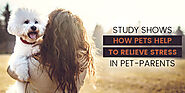 Study Shows How Pets Help To Relieve Stress in Pet-parents - CanadaVetExpress - Pet Care Tips