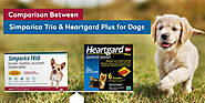 Comparison Between Simparica Trio and Heartgard Plus for Dogs - CanadaVetExpress - Pet Care Tips