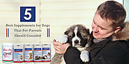 5 Best Supplements for Dogs That Pet-Parents Should Consider - CanadaVetExpress - Pet Care Tips
