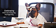 Celebrating Work Like A Dog Day, The Right Way - CanadaVetExpress - Pet Care Tips