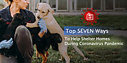 Top SEVEN Ways to Help Shelter Homes During Coronavirus Pandemic - CanadaVetExpress - Pet Care Tips