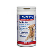 Lamberts Multi-vitamin and Mineral For Dogs at Lowest Price - CanadaVetExpress.com