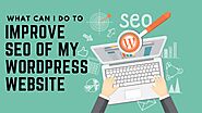 What Can I Do To Improve SEO of My WordPress Website