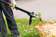 Weed Removal in Colton CA