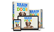 Brain Training For Dogs Review – Adrienne Farricelli’s Dog Training Guide Any Good?