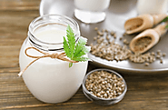 How To Make Hemp Milk At Home Within Two Munites | Marijuana Span