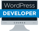 WordPress Developers