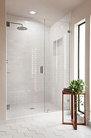 Custom Glass Shower Enclosure - Full Door and Panel - Layout 1