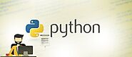Why and When You Need a Python Developer? - FindMeTechie