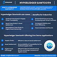 Hyperledger Sawtooth Development