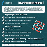 Hyperledger Fabric Development