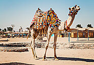 Private guided tour to Hurghada - Goranga.com