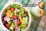 Top 100 Plant Based Food Blogs | Plant Based Eating Blogs