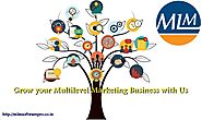 Relation between Multilevel Marketing Business and Software - Wow Blog | eBaum's World