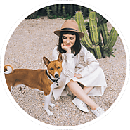 Air Malta Pet Policy Deal For Comfort & Safe Pet Travel